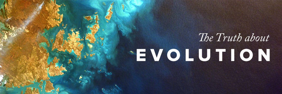 The Truth about Evolution